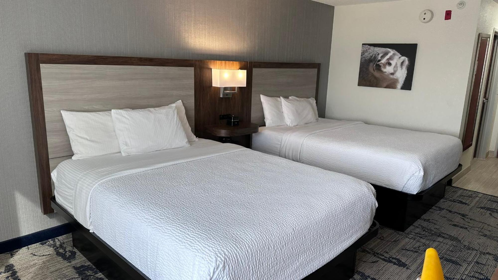La Quinta By Wyndham Milwaukee Sw New Berlin Hotel Ngoại thất bức ảnh